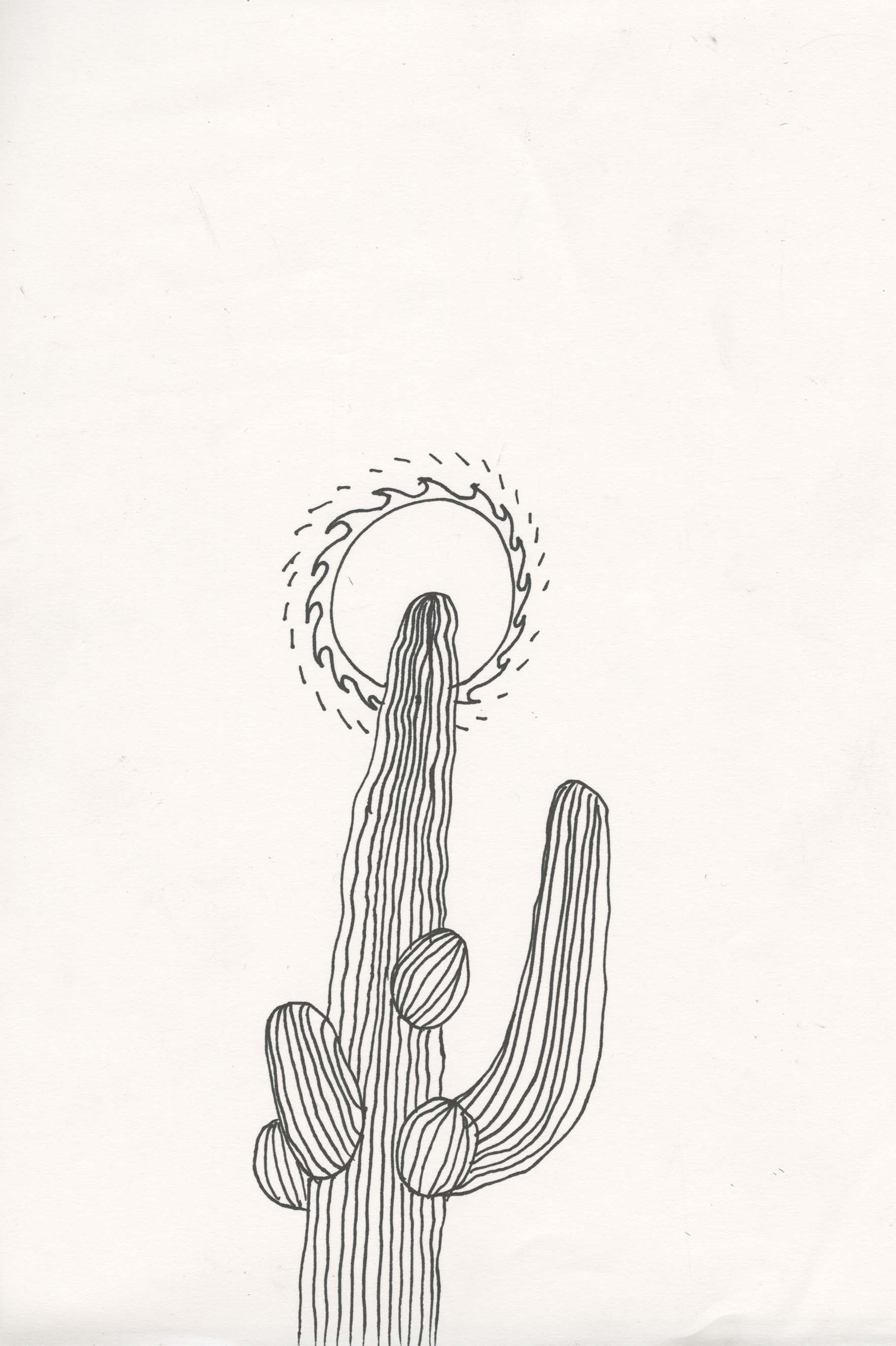 Cactus