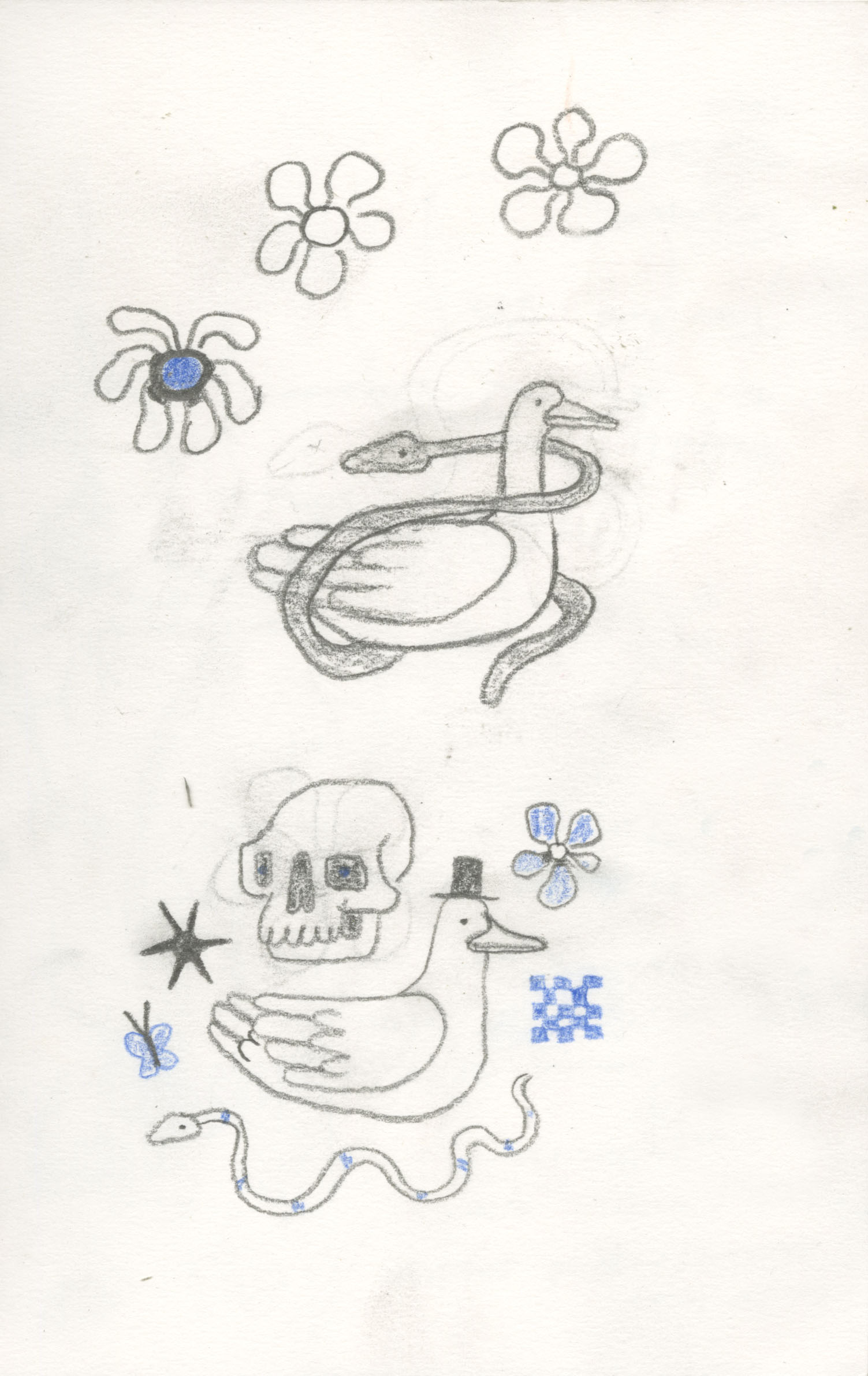 Doodles