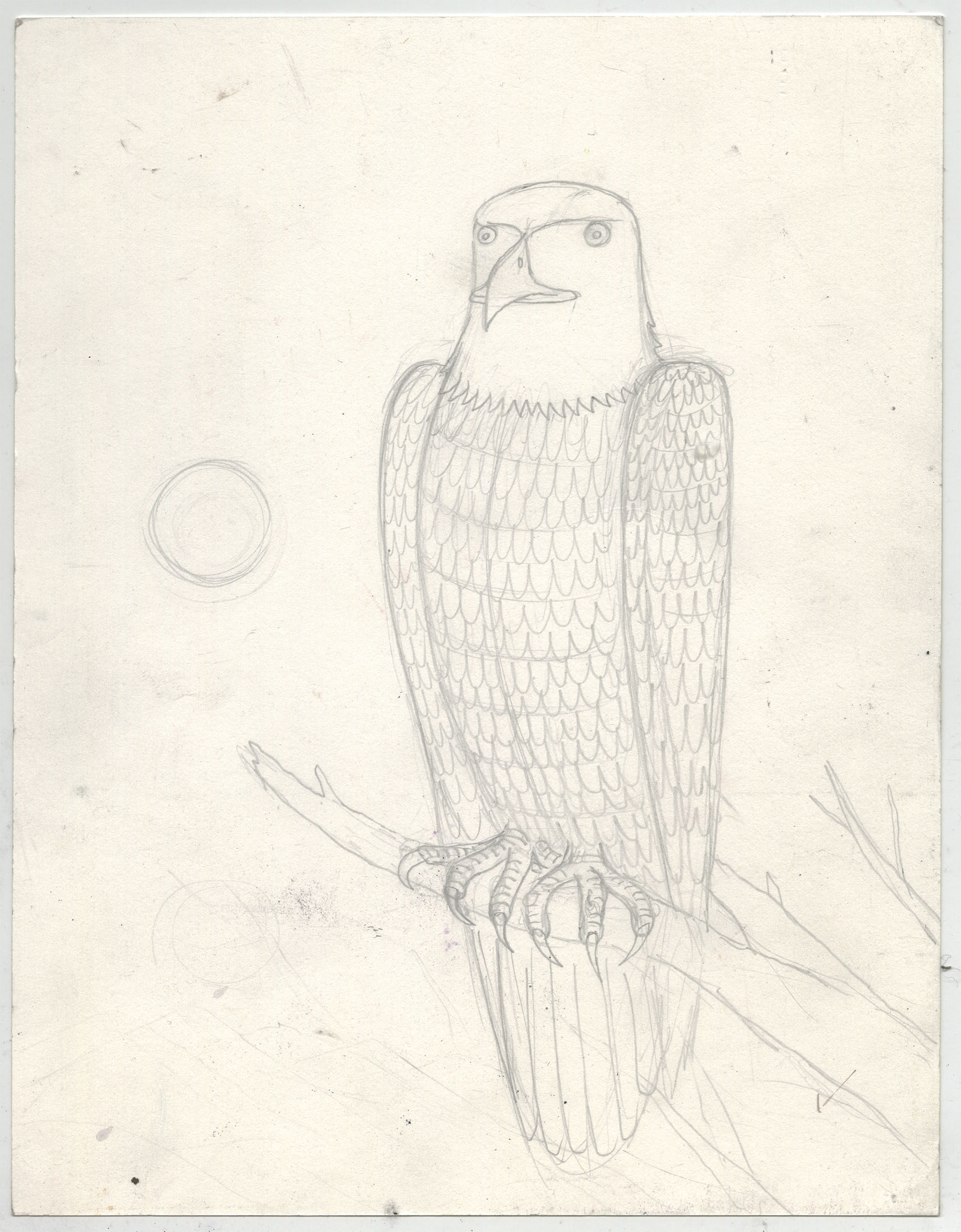 Eagle
