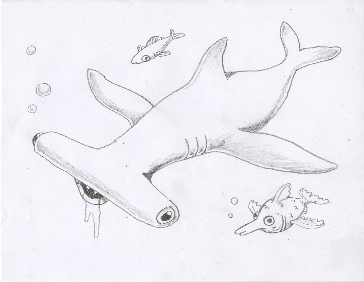 Hammerhead