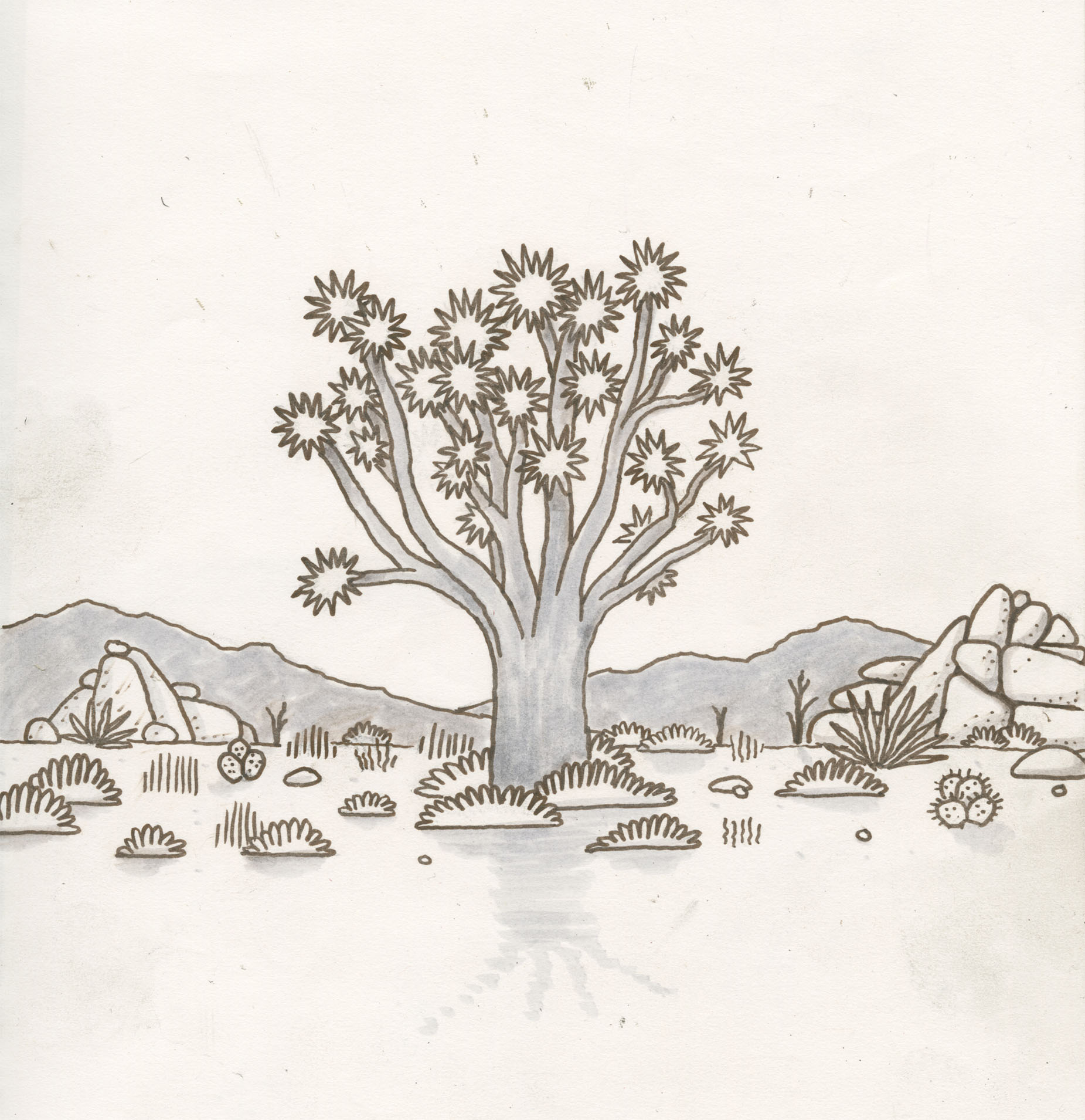 Joshua Tree