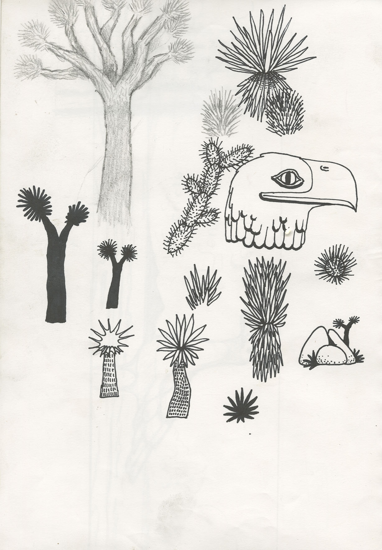Joshua Tree Doodles