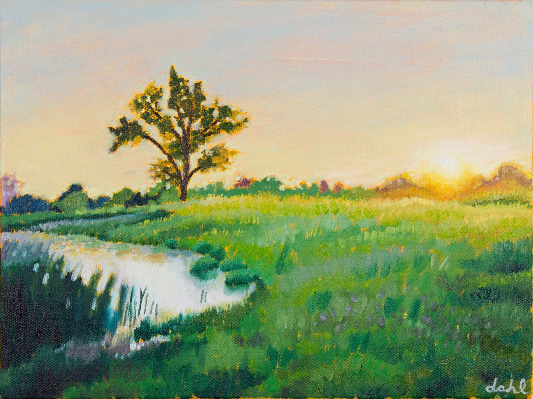 Midwest Sunrise