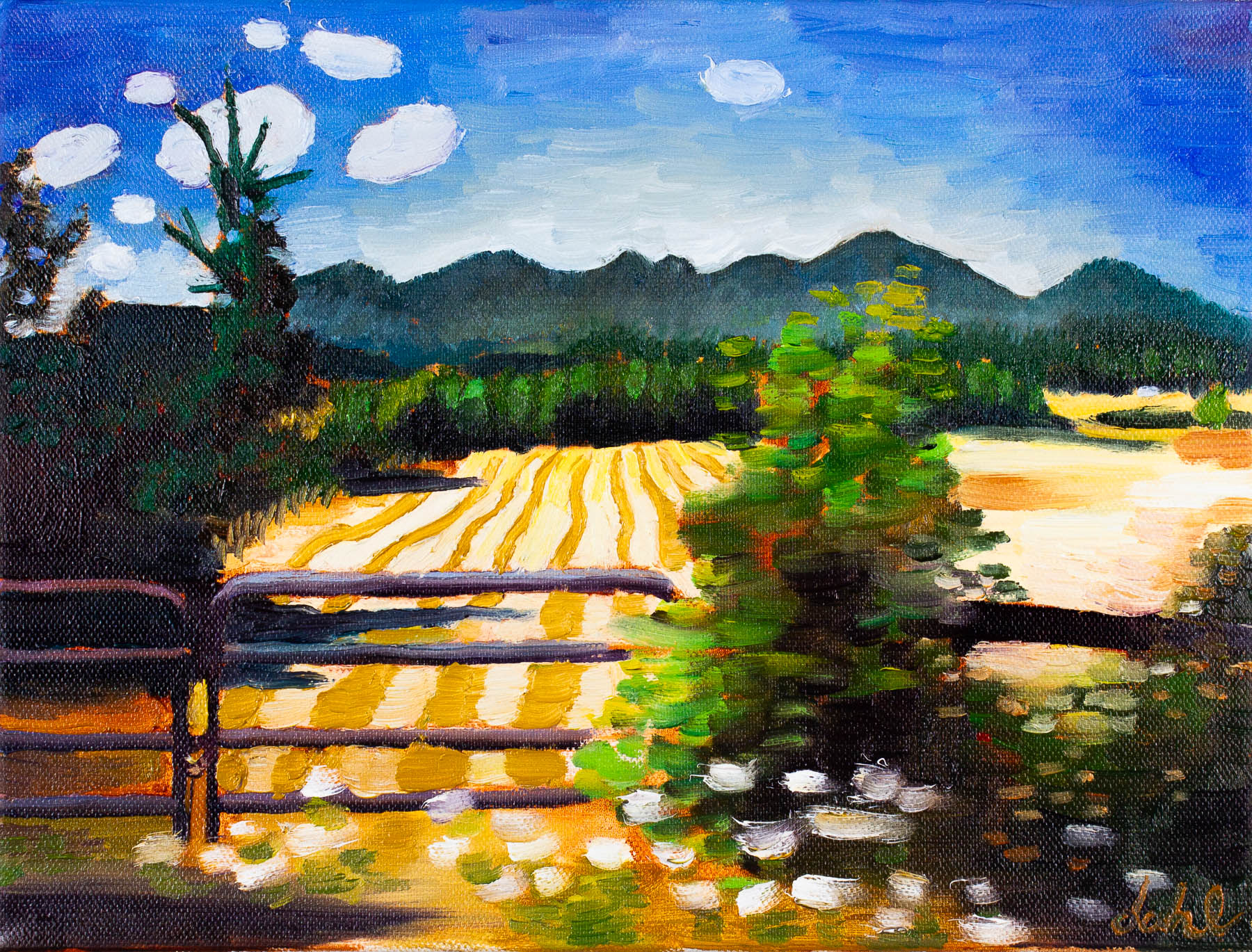 Oregon Summer