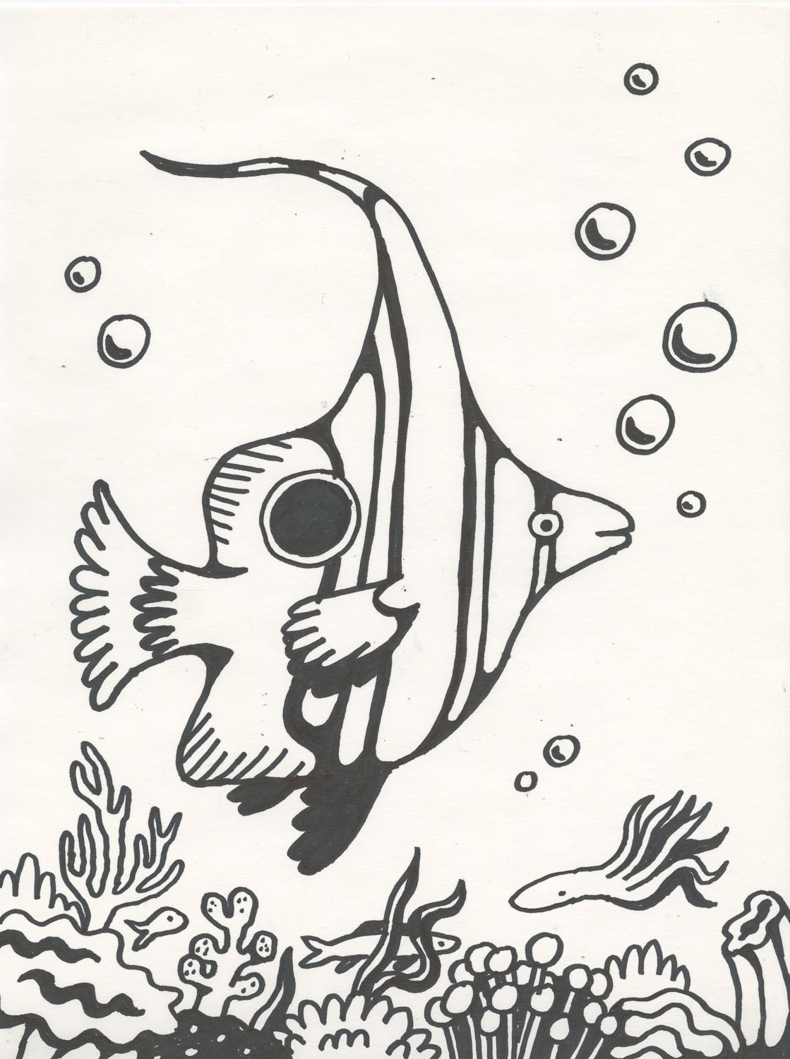 Reef Fish