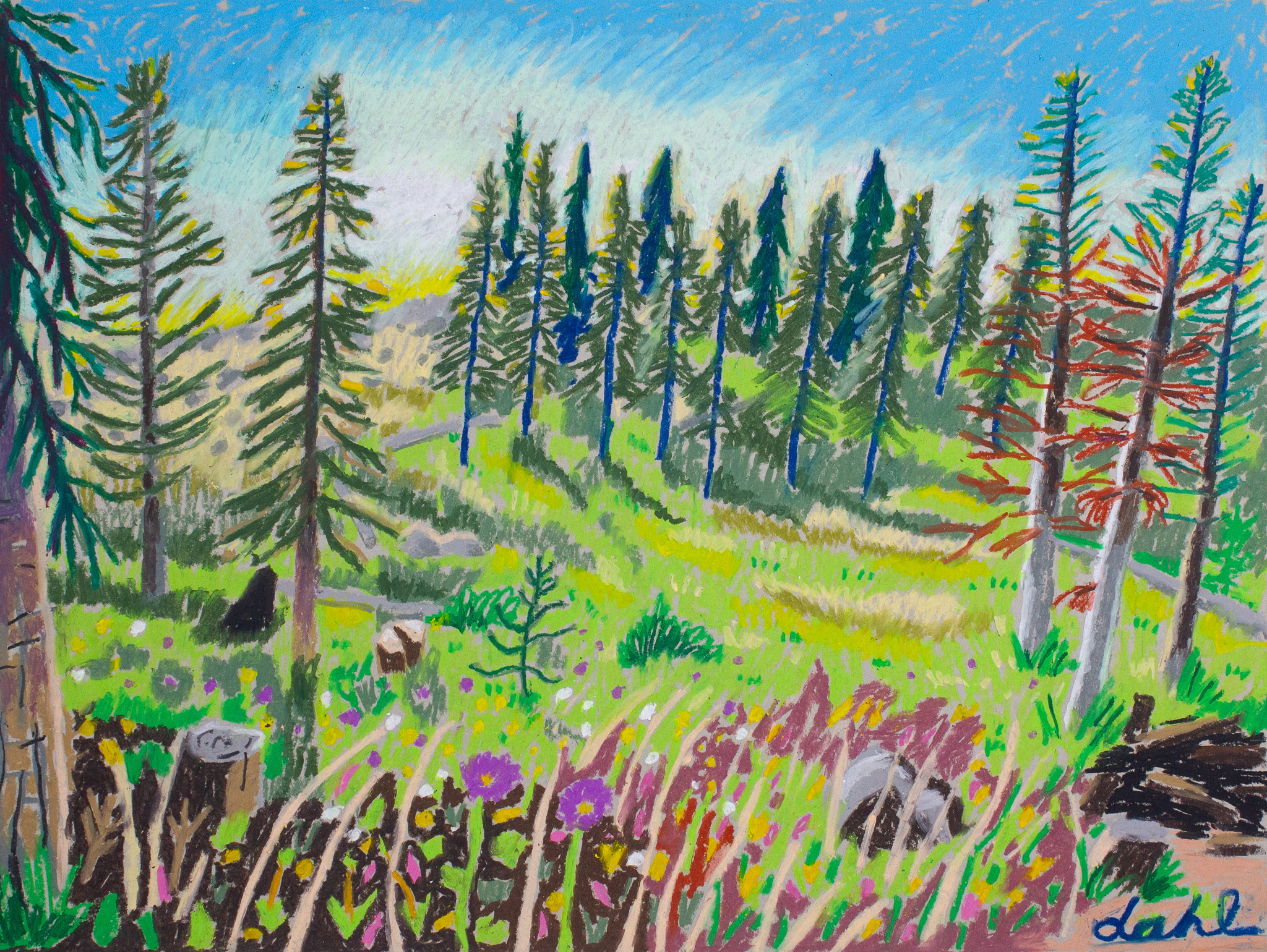 Spring Canyon