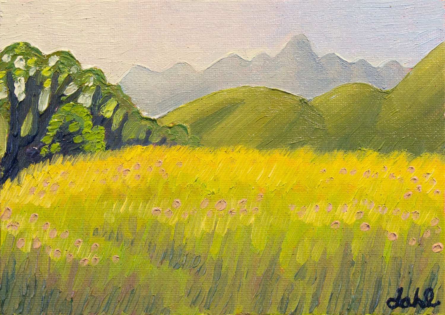 Sunset on the Wasatch