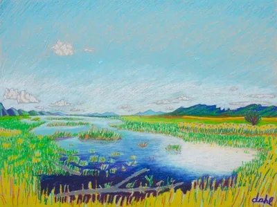 Bear River Bird Refuge