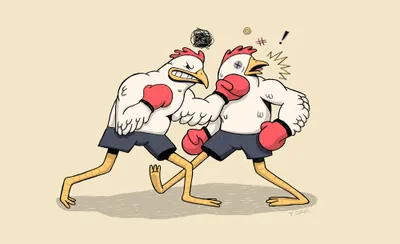 Cock Fight