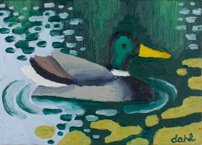 Duck