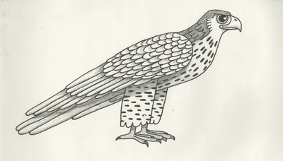 Falcon