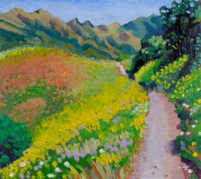 Foothills in Spring