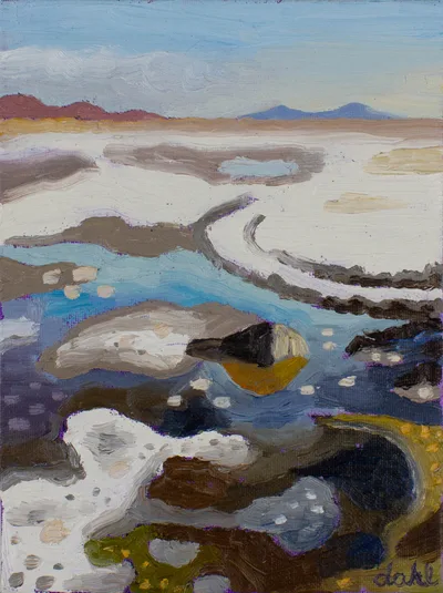 Great Salt Lakebed