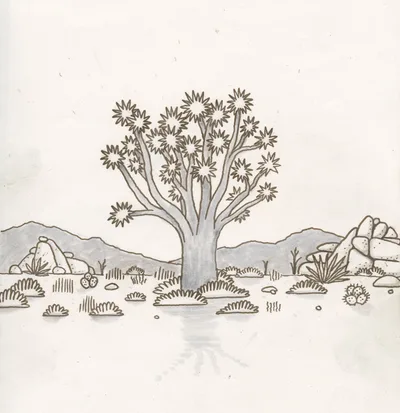 Joshua Tree