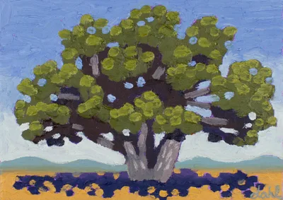 Juniper