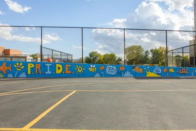 Midvale Mustangs!