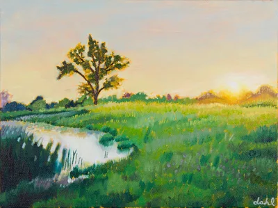Midwest Sunrise
