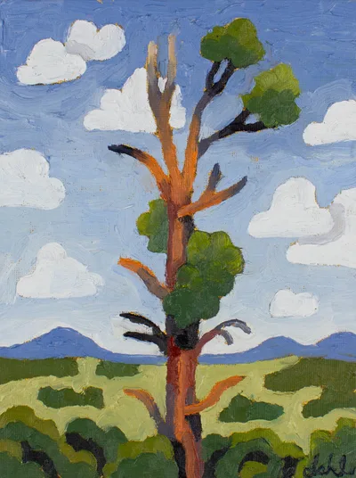 Pinyon Pine