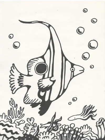 Reef Fish