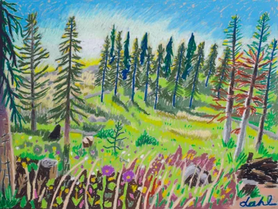 Spring Canyon