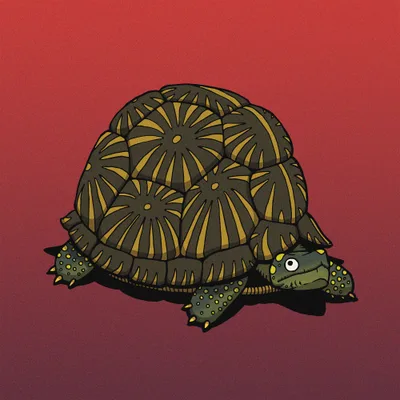Tortle