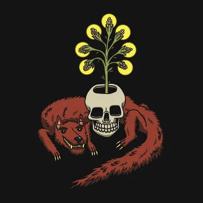 Bloom