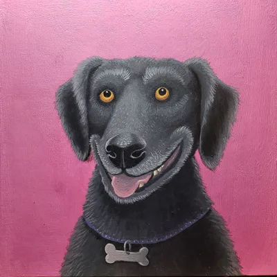 Dog 1