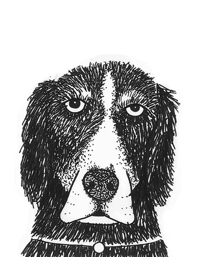 Doggo