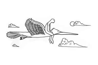 Flight