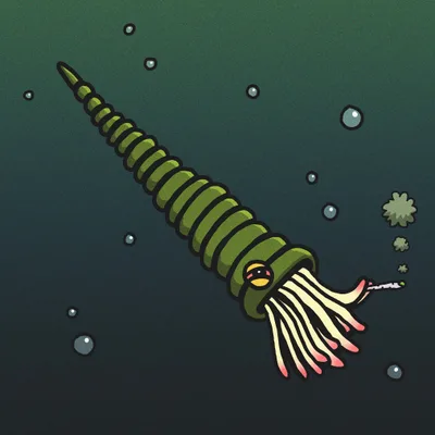 Reef Cheifin