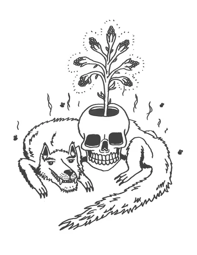 Skull & Wolf